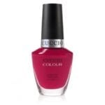 ΒΕΡΝΙΚΙ CUCCIO COLOUR 6016 HEART & SEOUL 13ml