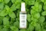 ALLEGRO NATURA ORGANIC ΑΠΟΣΜΗΤΙΚΟ ΜΕ ΦΑΣΚΟΜΗΛΟ ΚΑΙ ΜΕΝΤΑ 30ml - Image 3